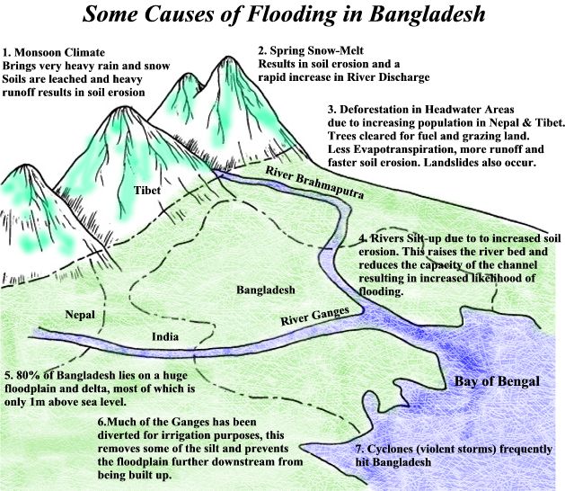 Effect essay: causes of flood